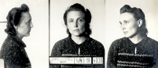 צילום: אגנס פולי