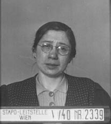 צילום: Wilhelmine פטיג גב Hauer